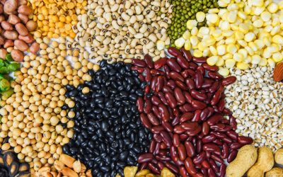 Legumes: Plant Power Packed with Protein